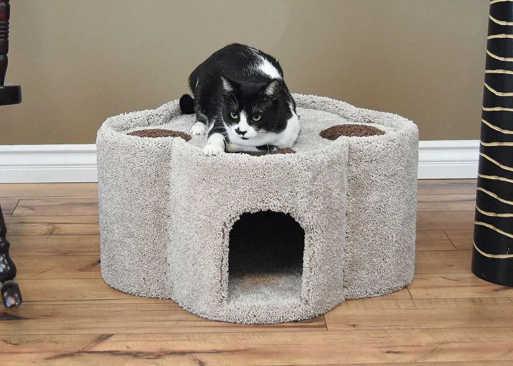 Paw Print Cat Condo — Solid Wood Cat House with Carpet, Cozy Indoor Retreat - Image 2