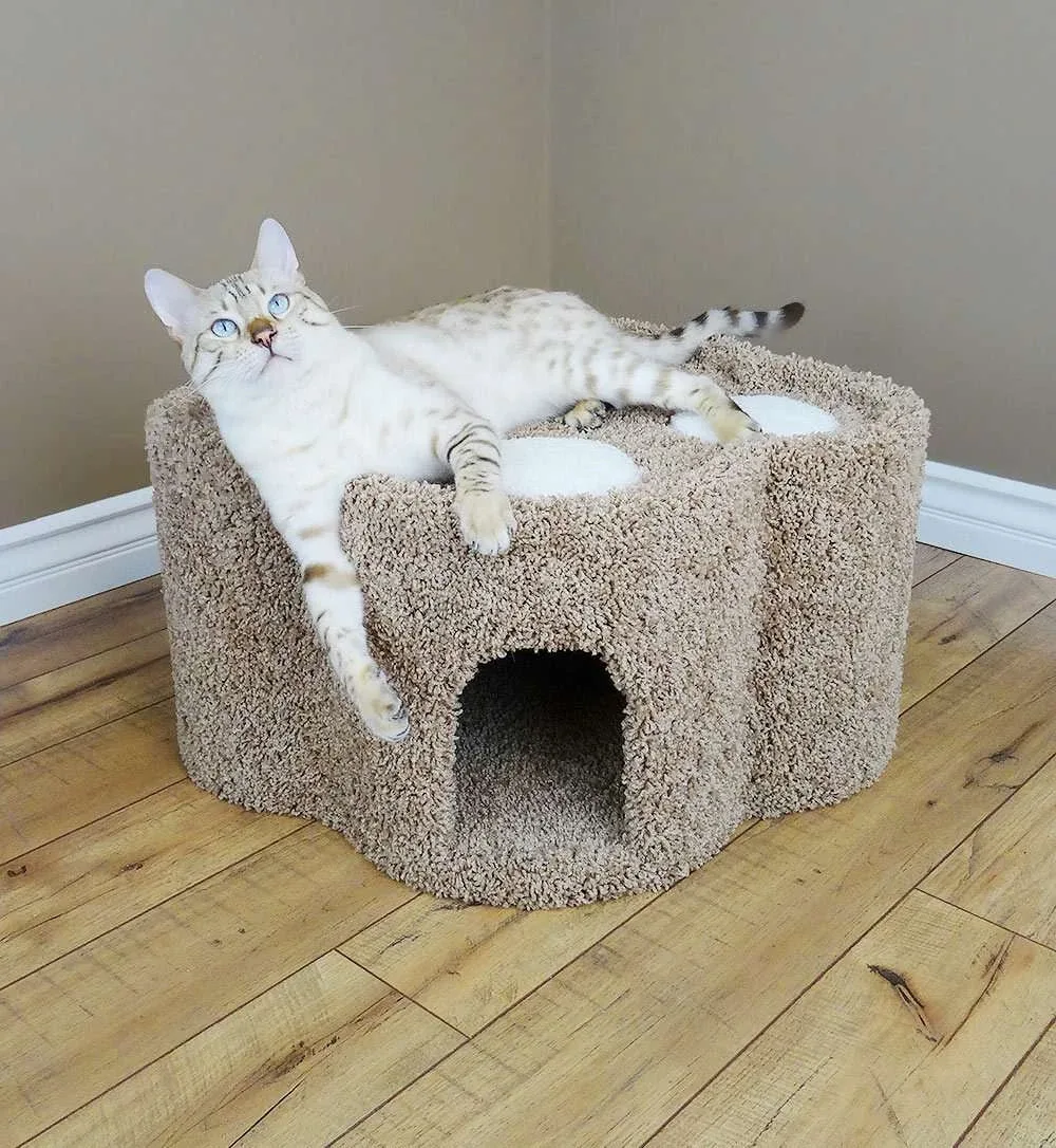 Paw Print Cat Condo — Solid Wood Cat House with Carpet, Cozy Indoor Retreat