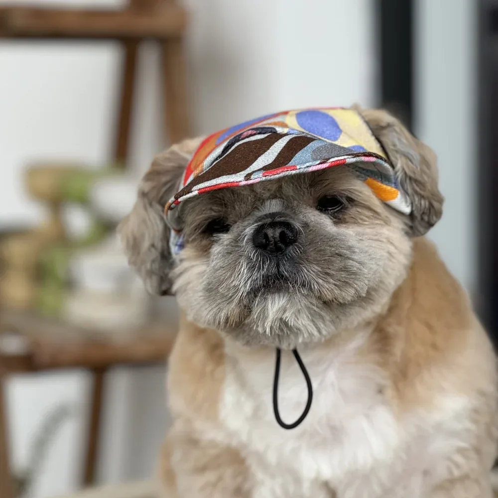 Pawgypets Cap for Dogs (Multi Color) - Image 2