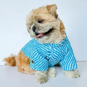 Pawgypets Lehriya Kurta for Dogs and Cats (Blue)