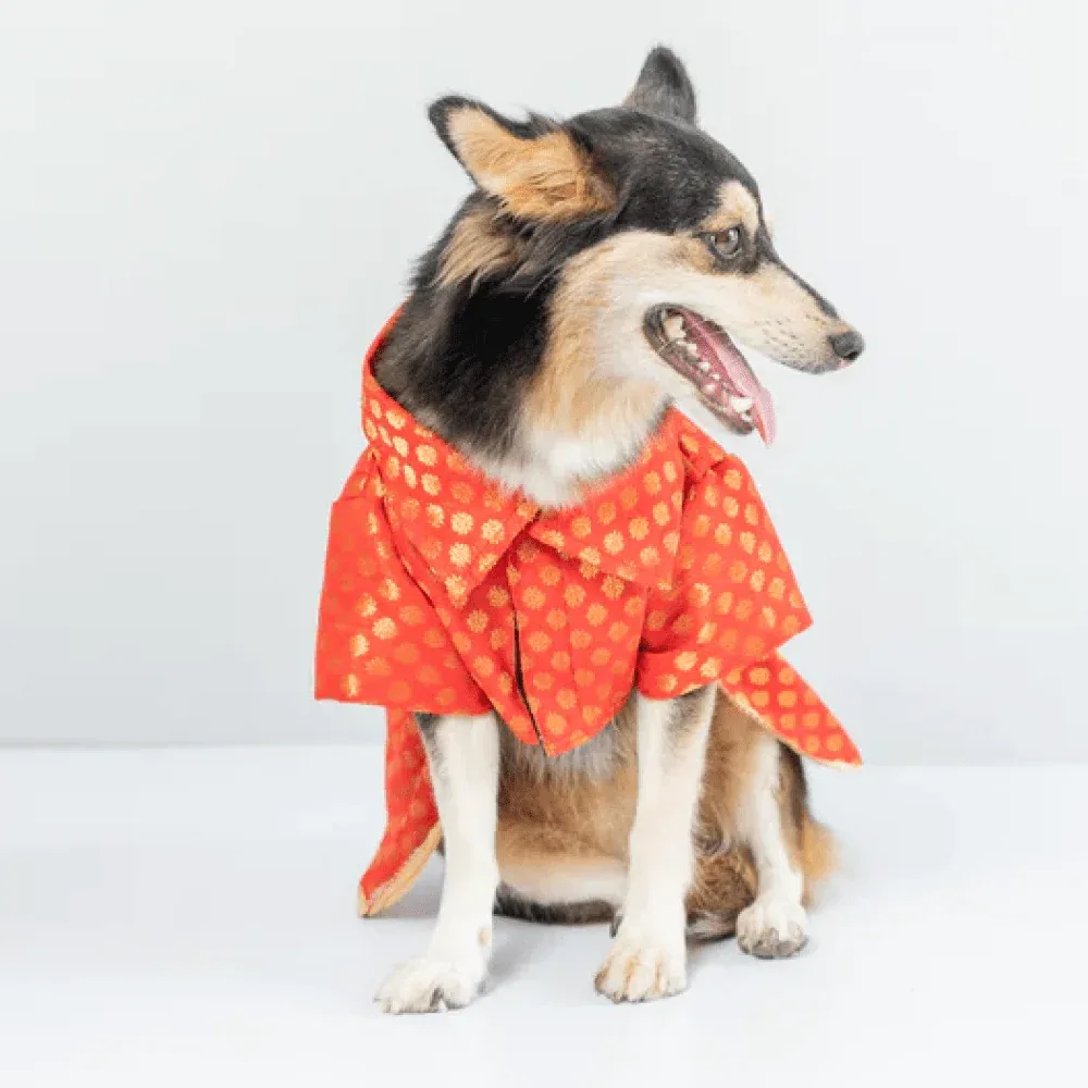 Pawgypets Occasion Wear Dress for Dogs and Cats (Red) - Image 2