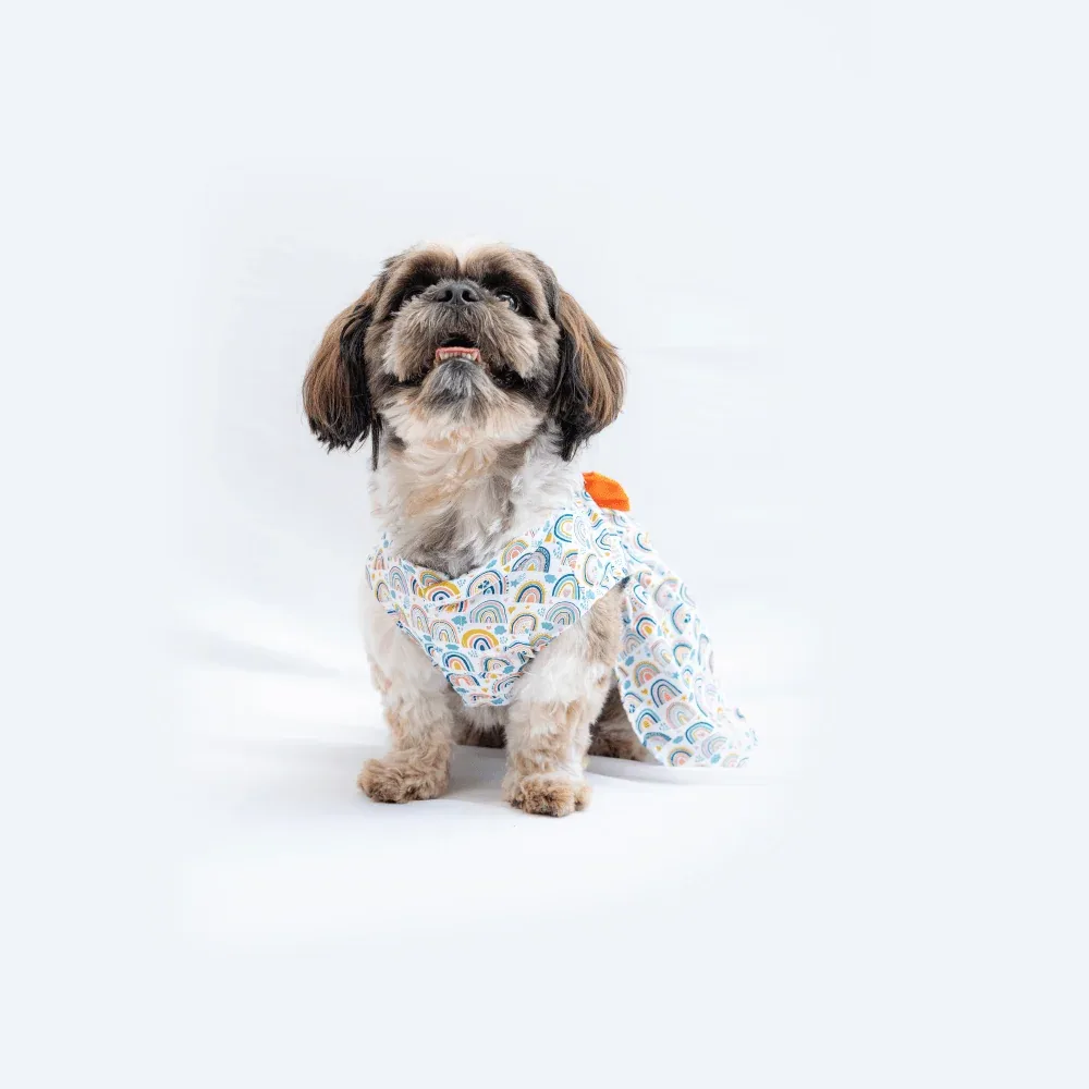 Pawgypets Rainbow Casual Dress for Dogs and Cats