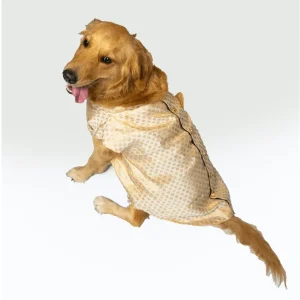 Pawgypets Sherwani for Dogs and Cats (White)