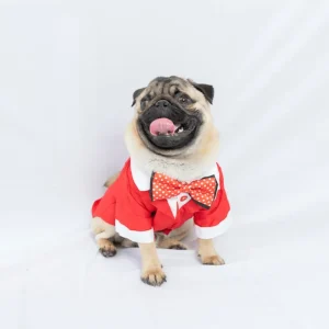 Pawgypets Tuxedo for Dogs and Cats (Red)
