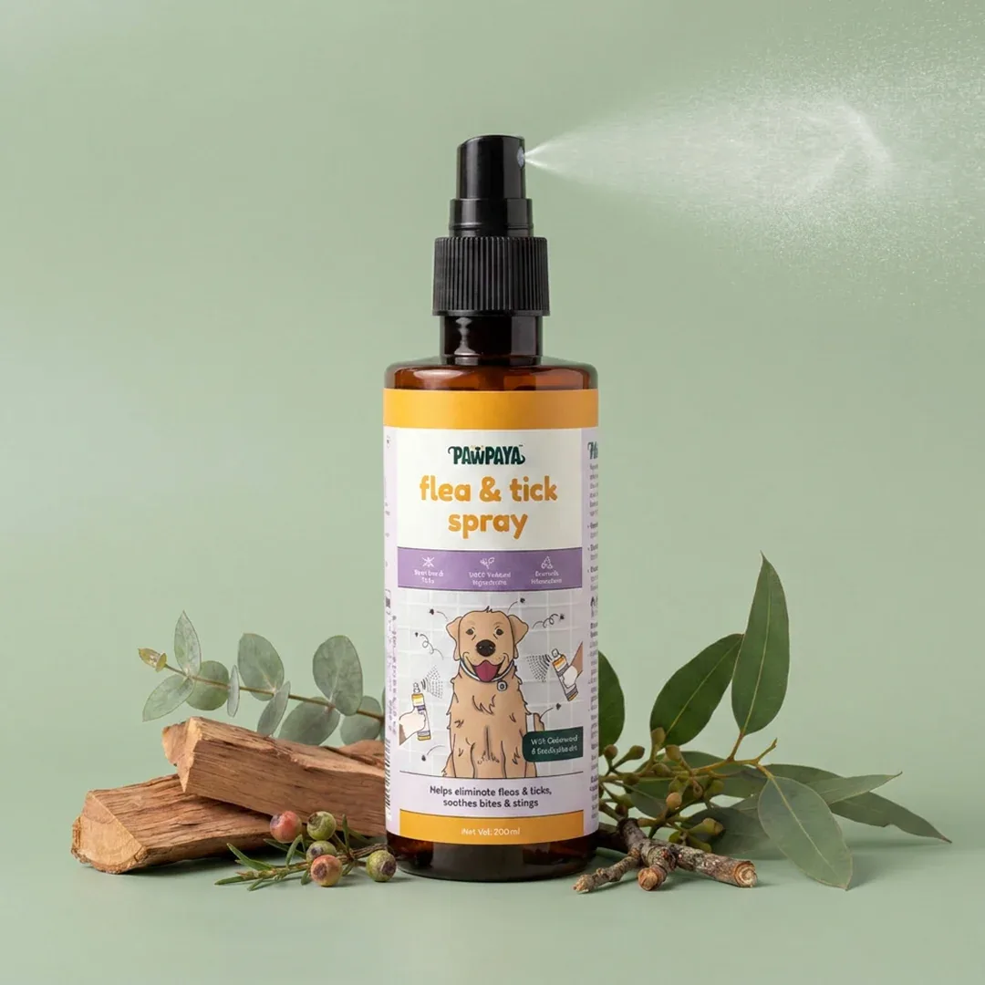 Pawpaya Flea and Tick Spray for Dogs and Cats - Image 2