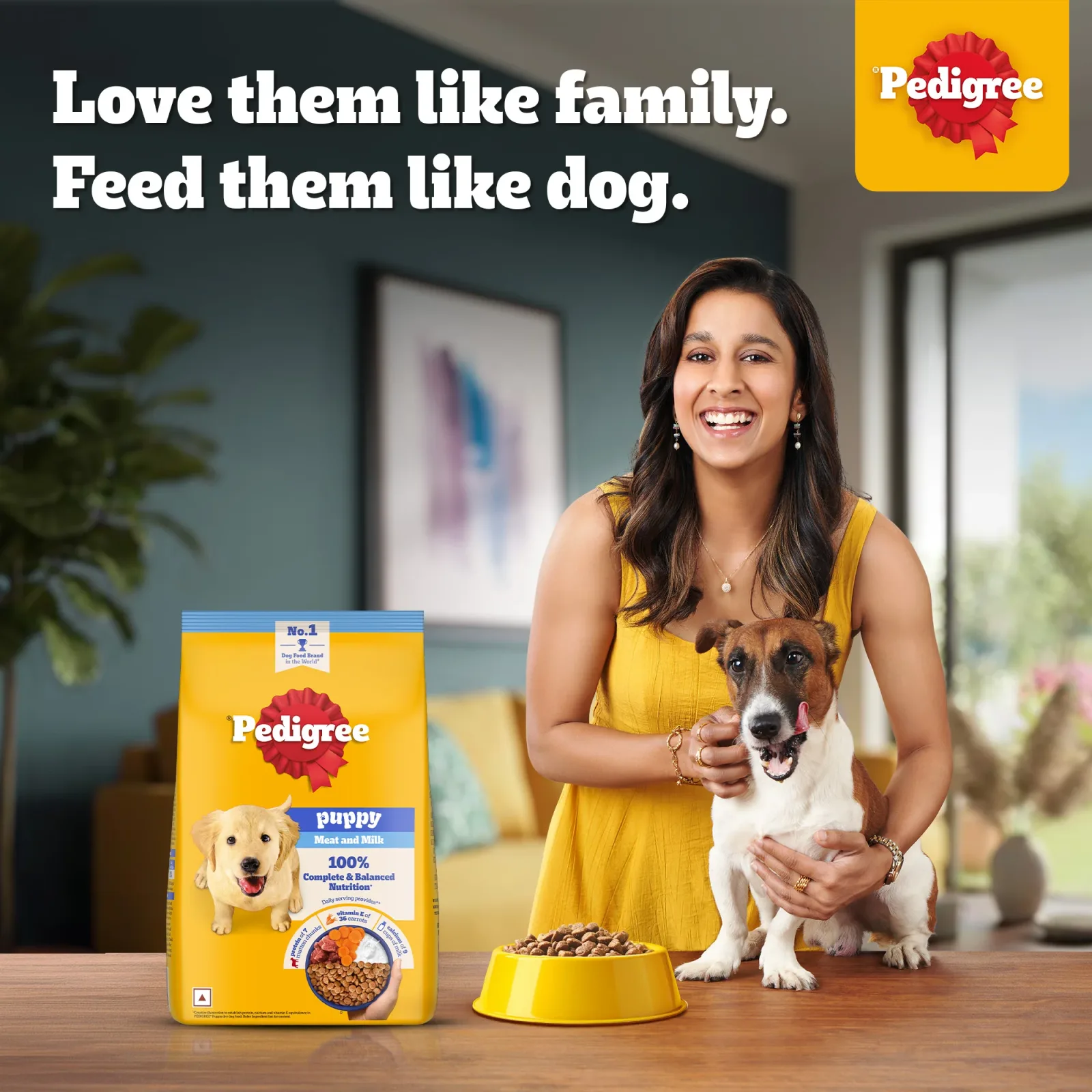 Pedigree Meat & Milk Puppy Dog Dry Food - Image 2