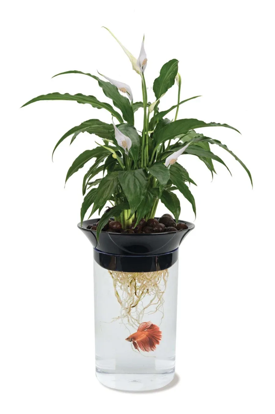 Penn-Plax Nature's Aqua Ponics Planter Betta Bowl Kit, Clear, Black, Green, 67.6 oz