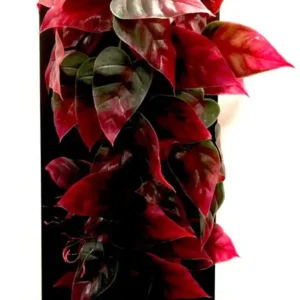 Penn-Plax Reptile Vine, Green, Red, 12 in
