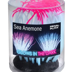Penn-Plax Tide & Treasure™ Silicone Sea Anemone - Pink