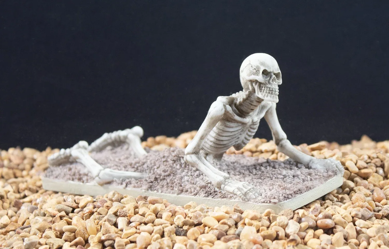 Penn-Plax Tide & Treasure™ Skeleton Escape - Medium - Image 2