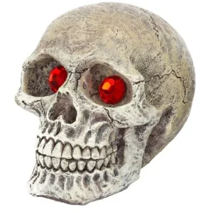 Penn-Plax Tide & Treasure™ Skull Gazers - Assorted Styles - Small