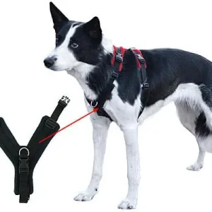 Perfect Fit Modular Fleece-Lined Harness
