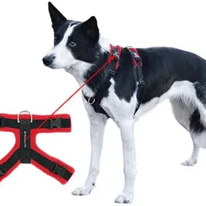 Perfect Fit Modular Fleece-Lined Harness