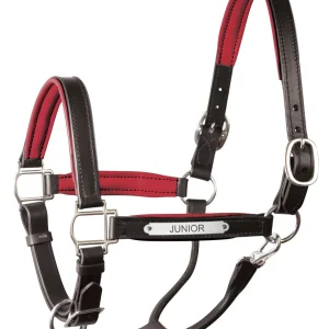 Perri’s® 1" Padded Leather Halter with Nameplate