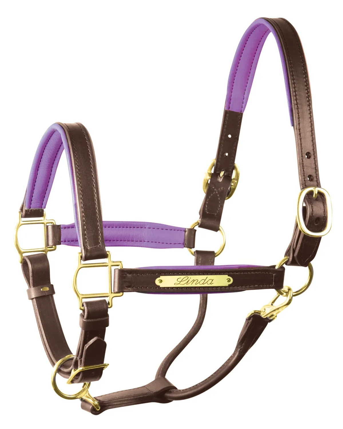 Perri’s® 1" Padded Leather Halter with Nameplate - Image 2