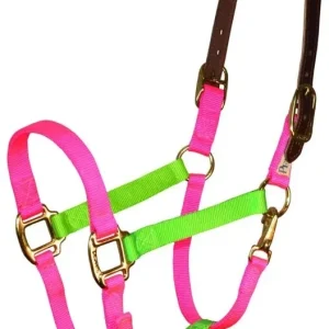 Perri's Color Vision Halter