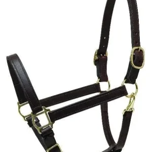 Perris Deluxe Turnout Halter Cob Brn
