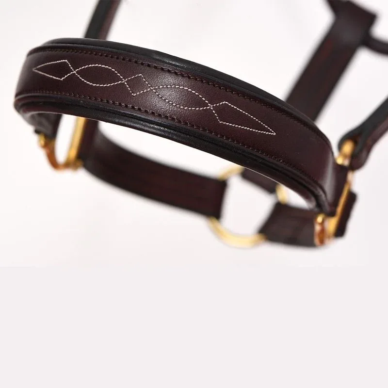 Perris Fancy Stitched Leather Halter - Image 2