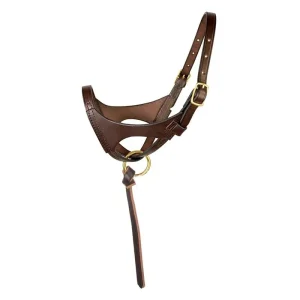 Perris Leather Premium Havana Foal Halter