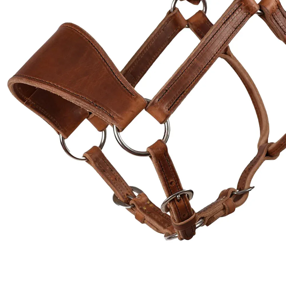 Perris Leather Ranch Halter - Image 2
