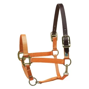 Perris Nylon Safety Halter