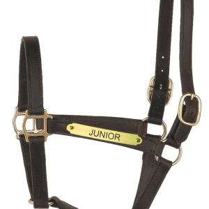 Perri's Personalized 1" Track Syle Turnout Halter