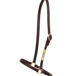 Perri's Personalized 3/4" Grooming Halter