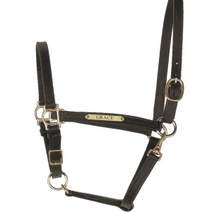 Perri's Personalized 3/4" Leather Turnout Halter