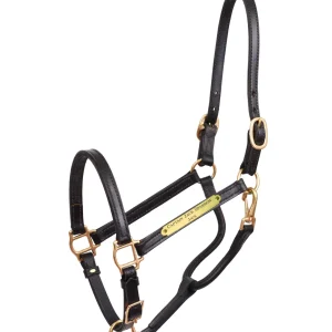 Perri's Personalized 3/4" Premium Show Halter
