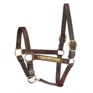 Perri's Personalized Adjustable Chin Track Style Halter