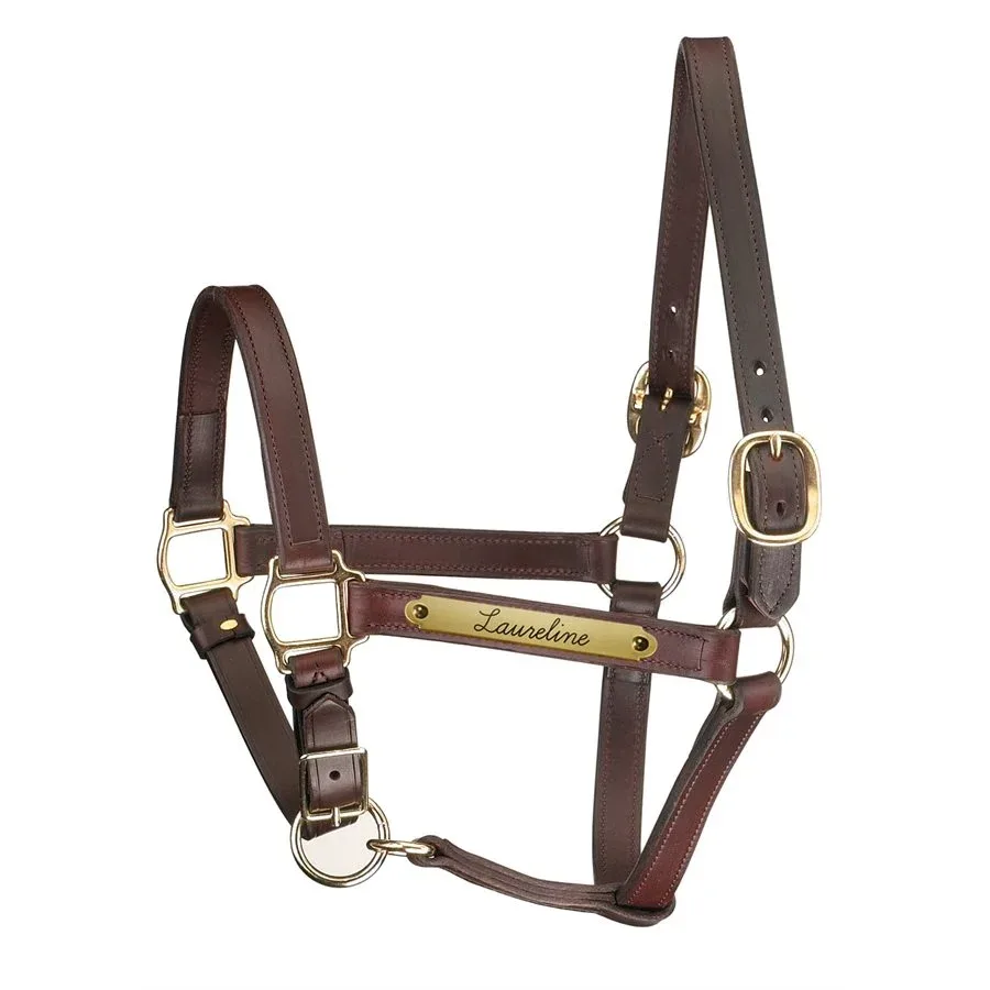 Perri's Personalized Adjustable Chin Track Style Halter