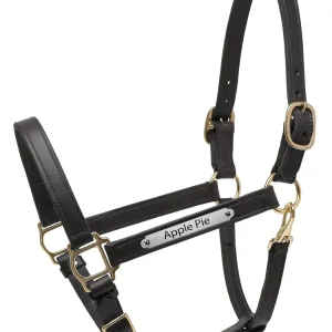 Perri's Personalized Deluxe Turnout Halter