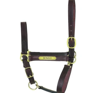 Perri's Personalized Economy Leather Halter