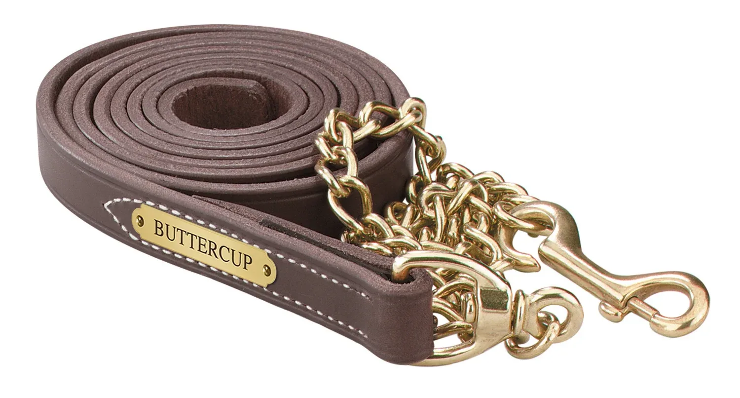 Perri's Personalized Leather Lead with 30" Solid Brass Chain - Image 2