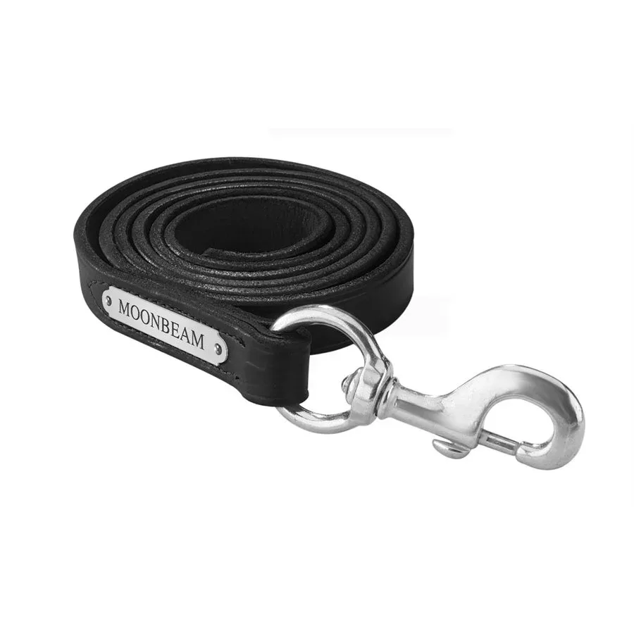 Perri's Personalized Leather Lead with Snap - Image 2