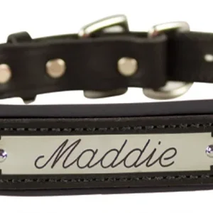 Perri's Personalized Padded Leather Dog Collar