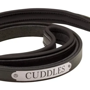 Perri's Personalized Padded Leather Dog Leash