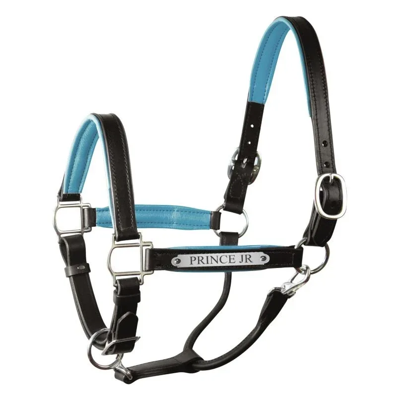 Perri's Personalized Padded Leather Halter - Image 2