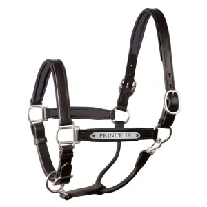 Perri's Personalized Padded Leather Halter