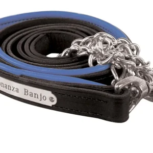 Perri's Personalized Padded Leather Lead with Chain