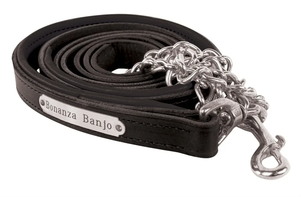 Perri's Personalized Padded Leather Lead with Chain - Image 2