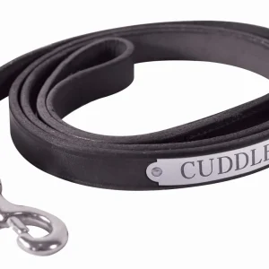 Perri's Personalized Plain Leather Dog Leash