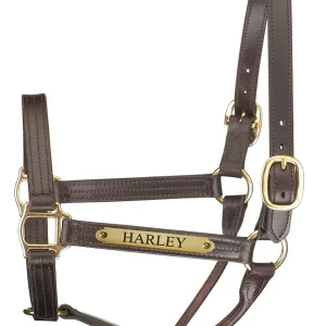 Perri's Personalized Premium Track Halter