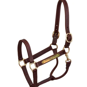 Perri's Personalized Professional Halter
