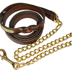 Perri's Personalized Twisted Leather Lead