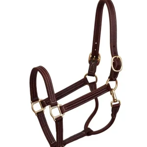 Perris Professional Show Halter