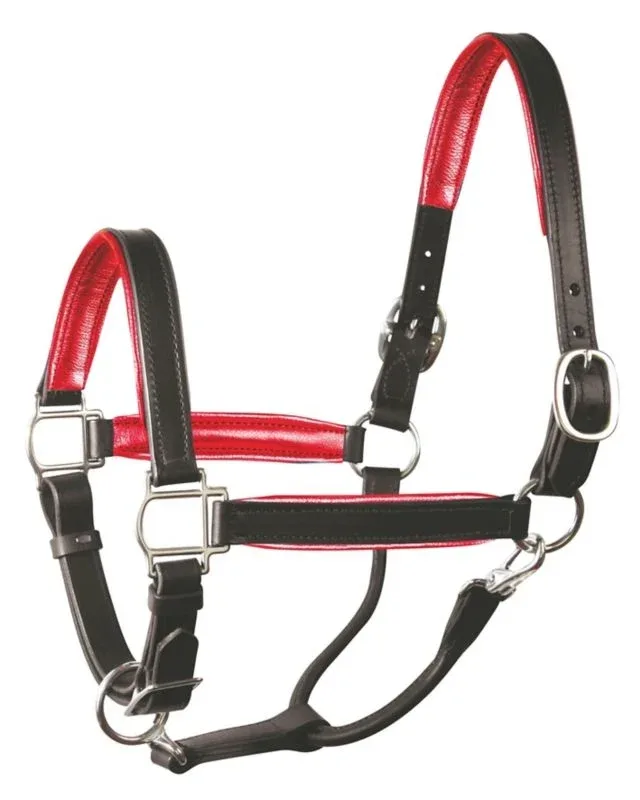 Perri's Soft Metallic Padded Leather Halter - Image 2