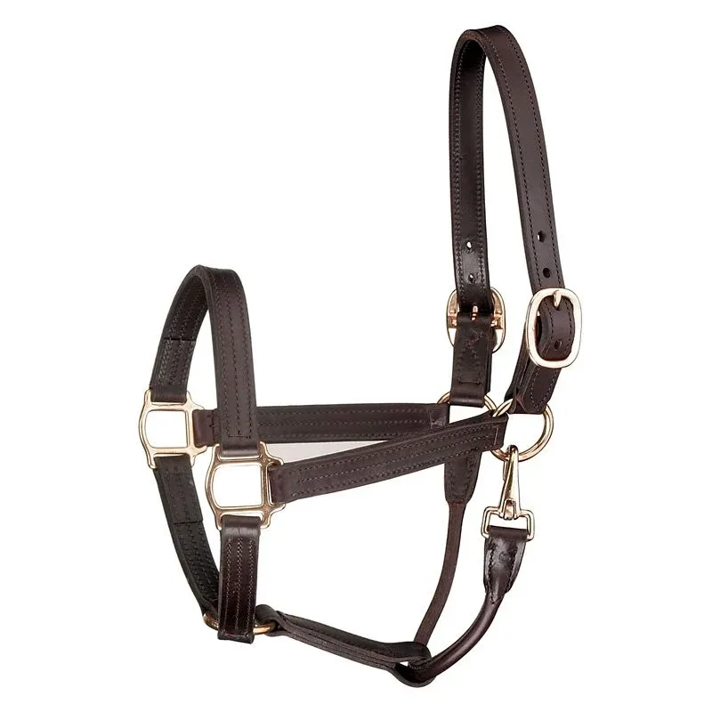 Perris Track Leather Show Halter Snap - Image 2