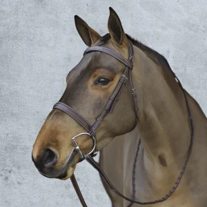Pessoa® Pro Fancy-Stitched Wide Nose Bridle