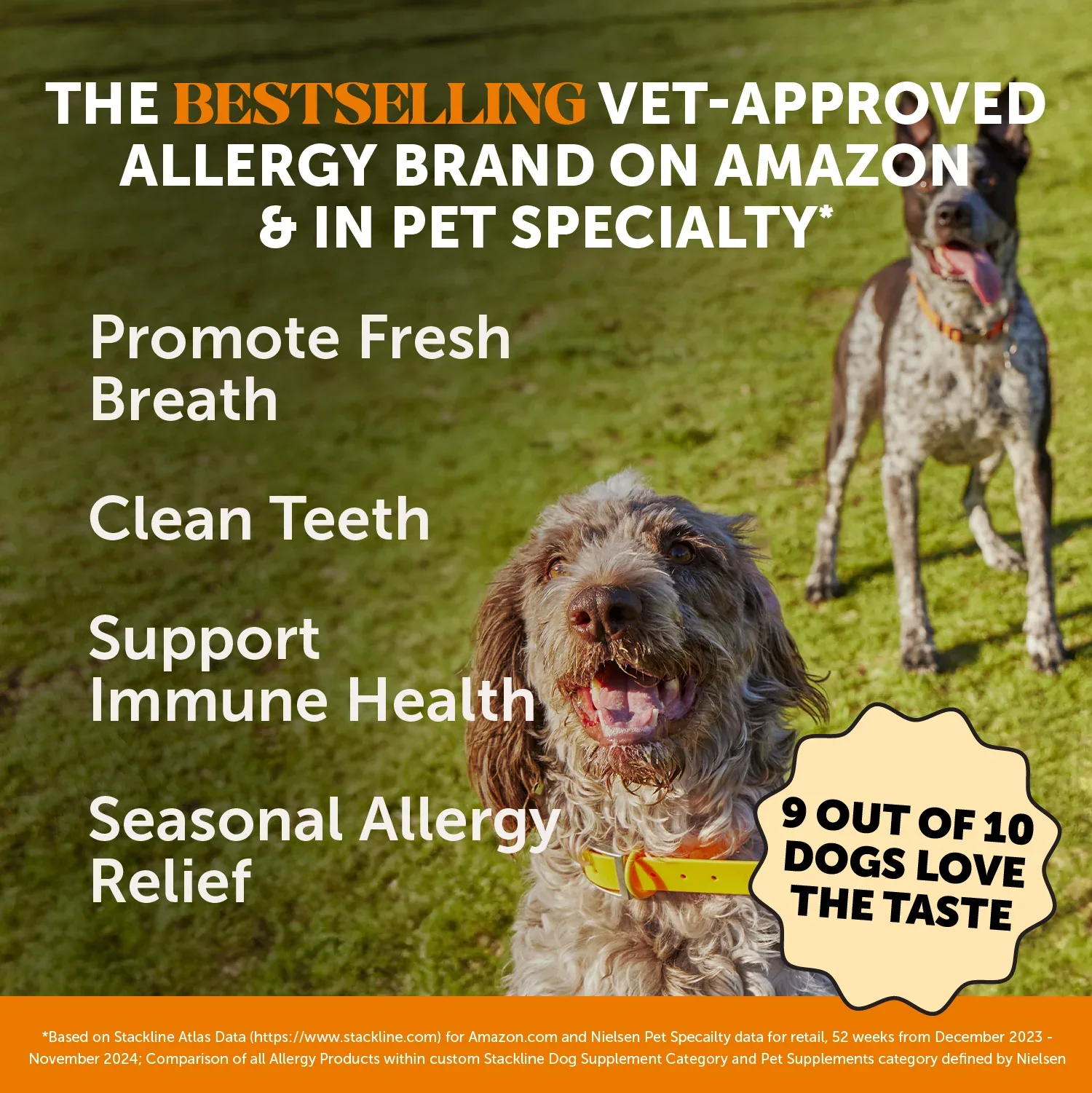 Pet Honesty Allergy Support Fresh Sticks - Pumpkin Peanut Butter (30 ct. Pouch) for Dogs - Image 2